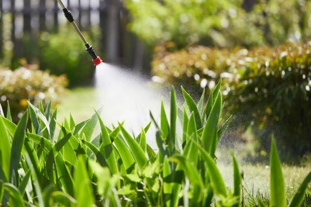 Tamper-Resistant Bait Stations for Rodents in Brogden