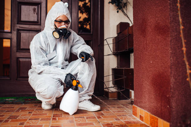 Attic and Crawl Space Rodent Treatment in Brogden