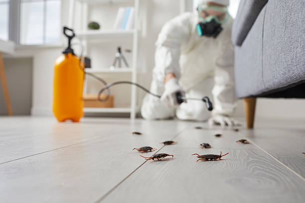 Commercial Rodent Management in Brogden